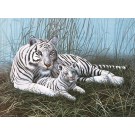 Mal med numre, Junior - Tiger
