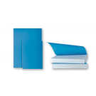 AMI Blue Pad